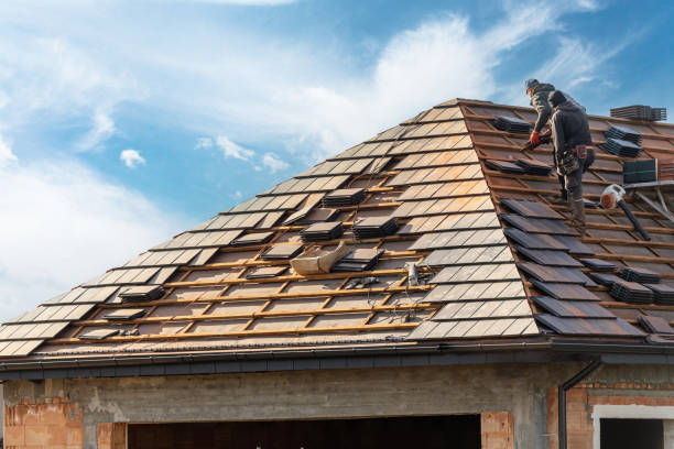 Best Roof Maintenance and Cleaning  in Union Mill, VA